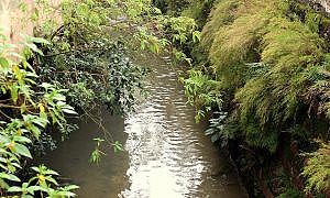 Famcri e Unesc avançam no projeto de monitoramento ambiental do Rio Criciúma Foto Arquivo Decom 2