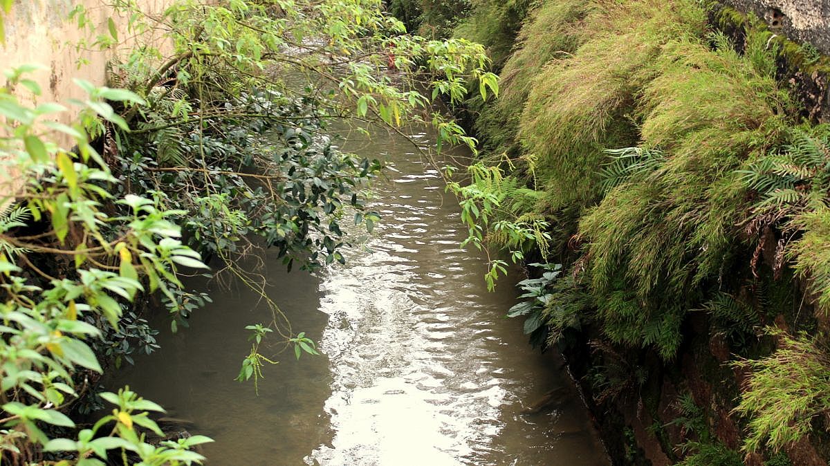 Famcri e Unesc avançam no projeto de monitoramento ambiental do Rio Criciúma Foto Arquivo Decom 2