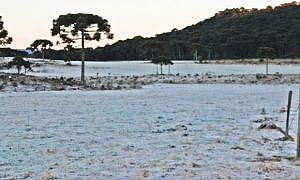 frio