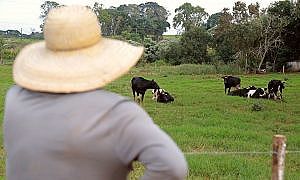 plano safra deve disponibilizar r 143 bi para investimentos no agronegocio de santa catarina 20190701 1272835905 1