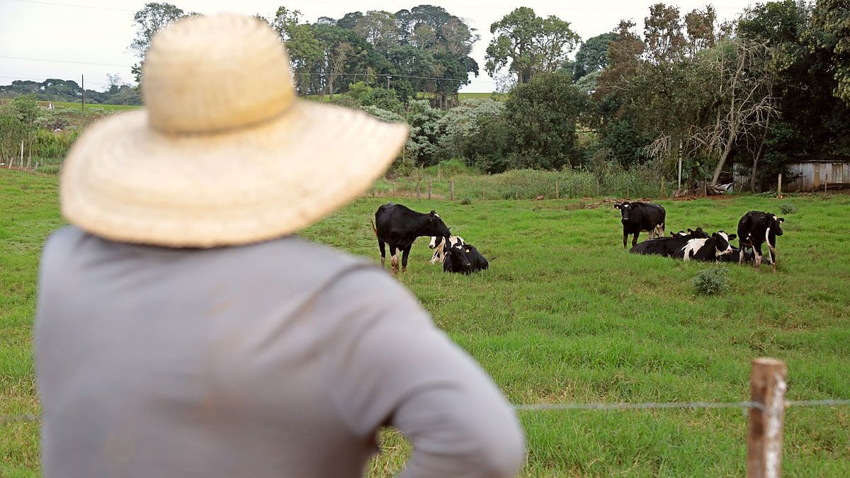 plano safra deve disponibilizar r 143 bi para investimentos no agronegocio de santa catarina 20190701 1272835905 1