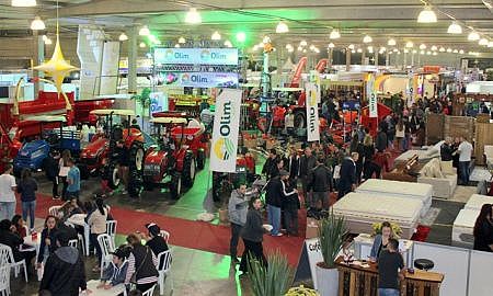 AgroPonte 2019 domingo 10