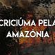 Criciúma Pela Amazonia 1