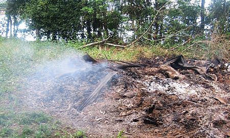 Fiscalização queimadas FUNDAF 1 1
