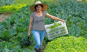 jovens e mulheres terao prioridade na liberacao de recursos dos programas da agricultura 20190806 1542842396 1