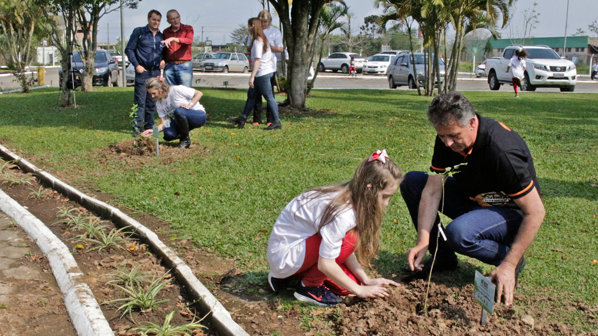 Plant for the Planet mutirão de plantio em Forquilhinha 53 1