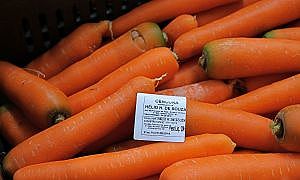florianopolis sc implementa identificacao de origem para frutas e verduras 20190909 1864141667 1