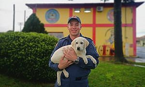 orion novo filhote dos bombeiros 20190906 1346482738 1