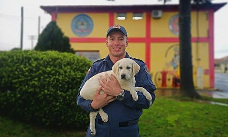 orion novo filhote dos bombeiros 20190906 1346482738 1