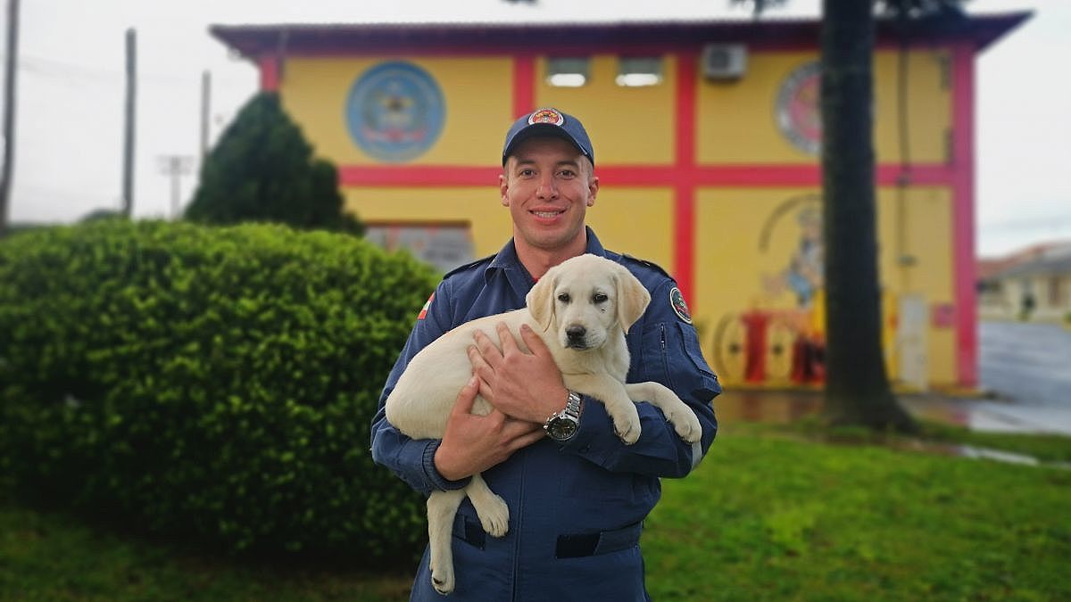 orion novo filhote dos bombeiros 20190906 1346482738 1