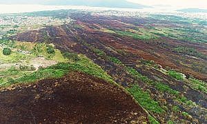 palhoca ima define cronograma de acoes para recuperar area queimada no parque da serra do tabuleiro 20190917 1587048879 1