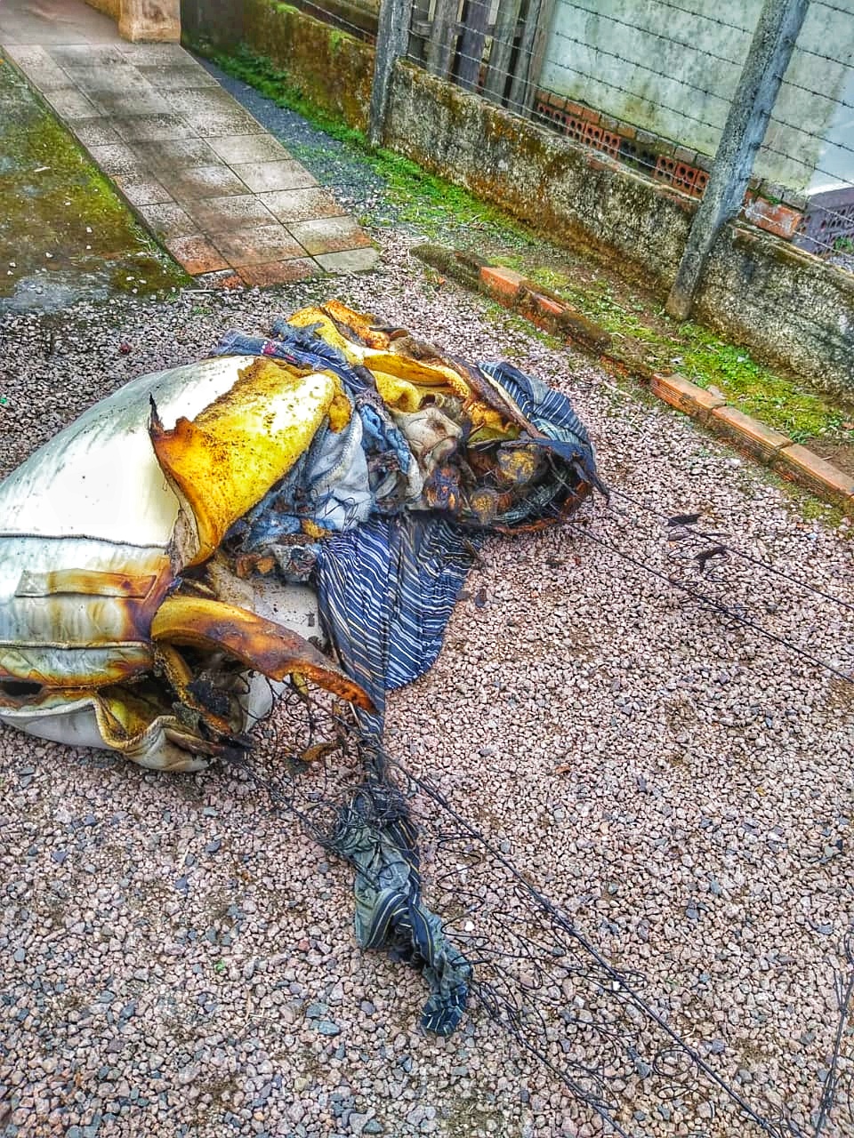 IMG 20191028 WA0072 01