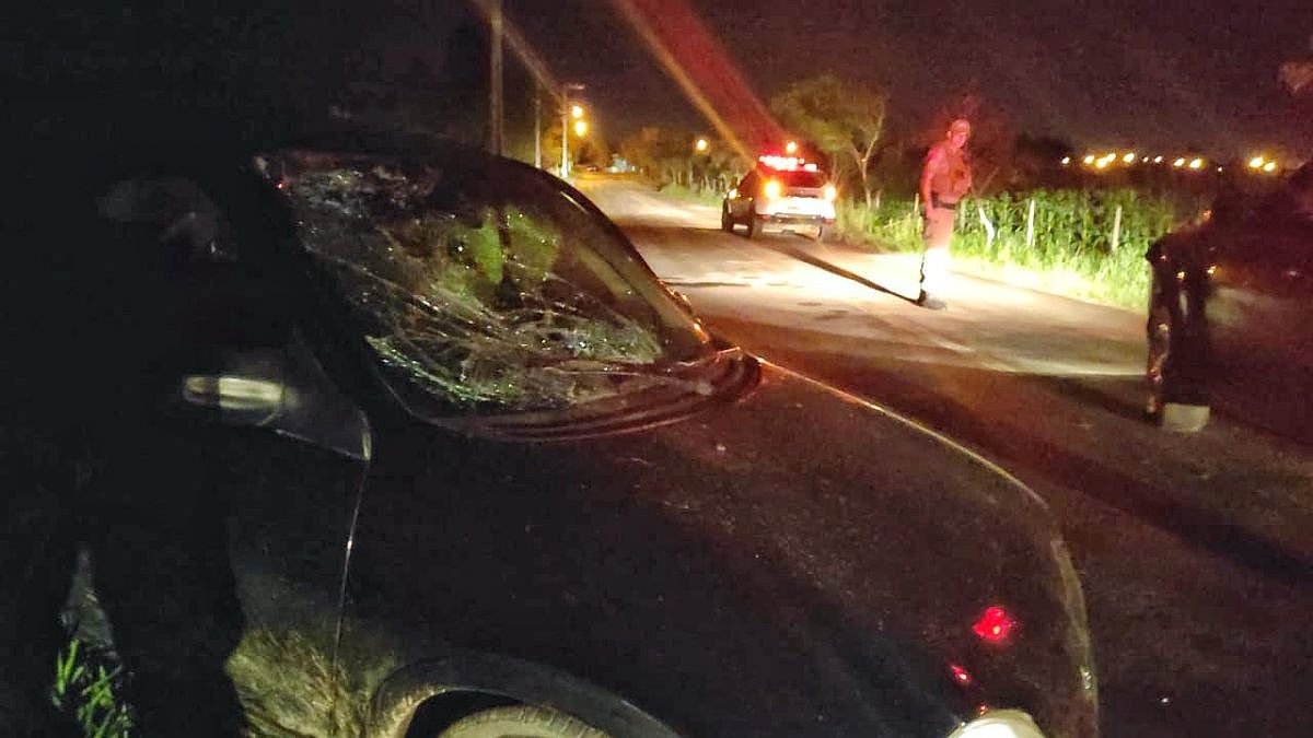 IMG 20191030 WA0106 01