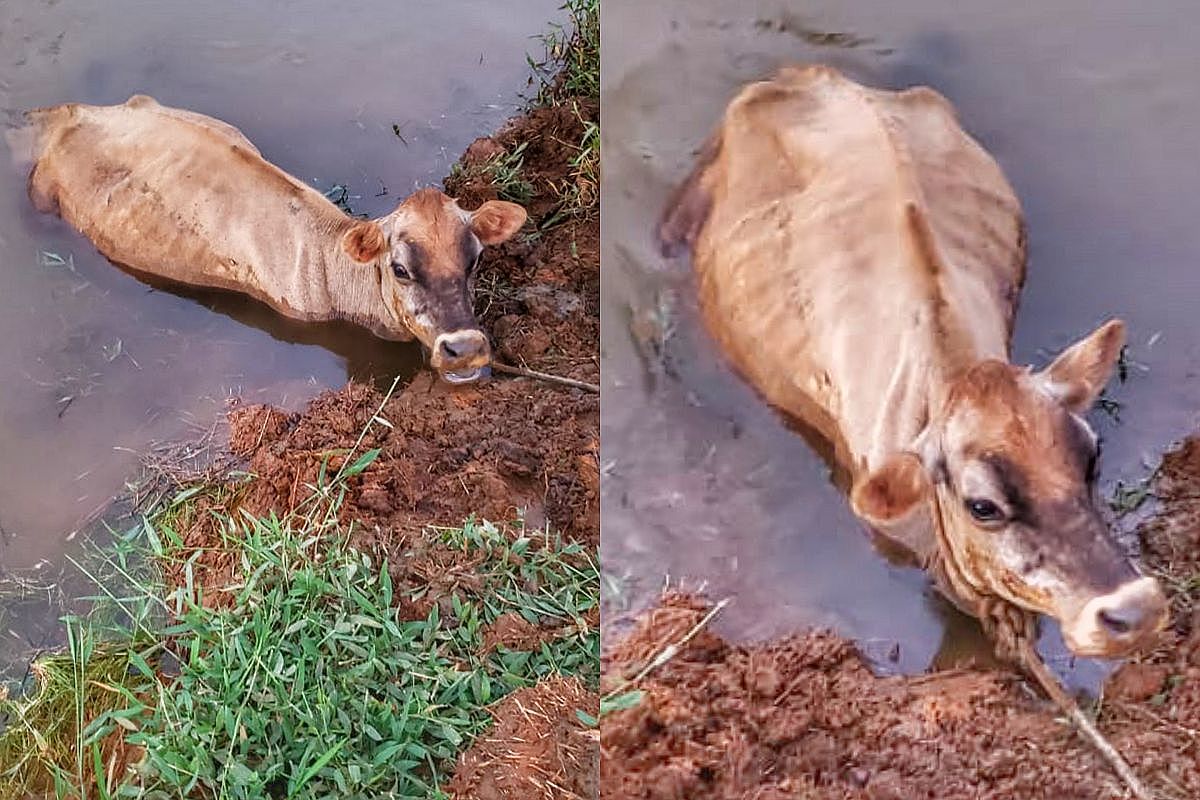 InShot 20191027 170800544 01