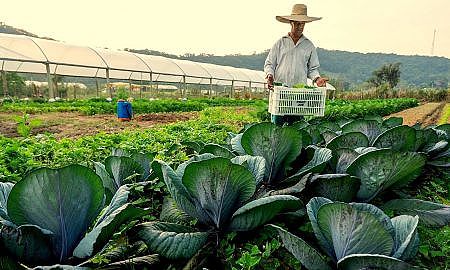 agricultura familiar 20191031 1716054549