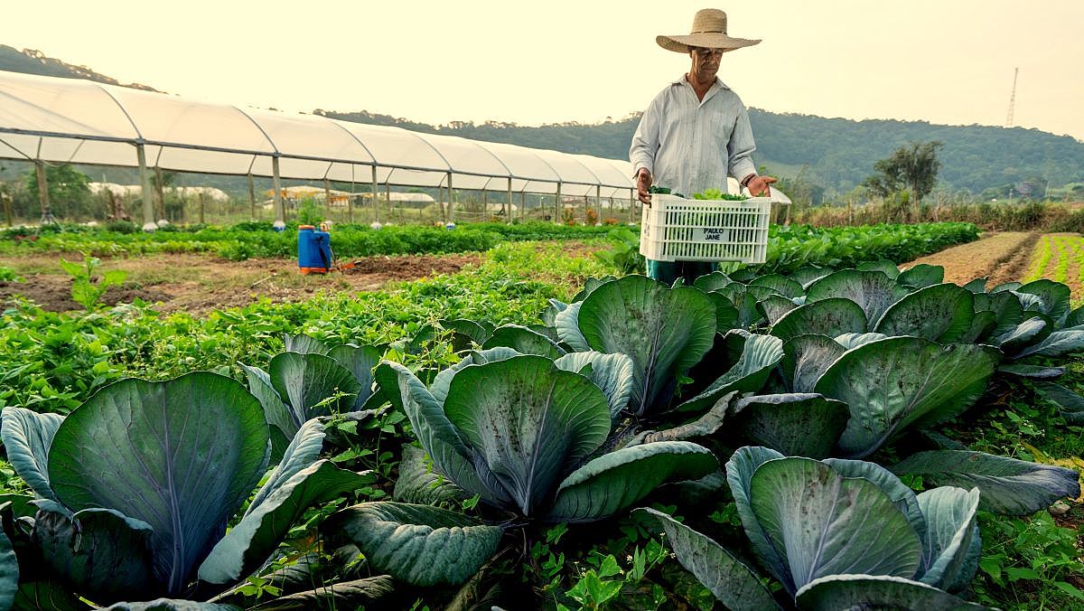 agricultura familiar 20191031 1716054549