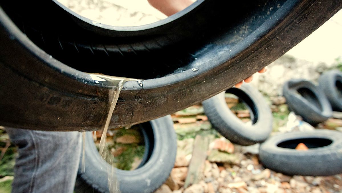 dengue 20150310 1953904357