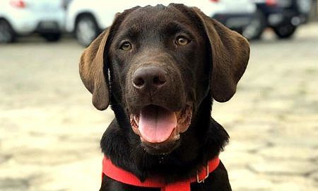 bono bombeiros 20191213 1376448220