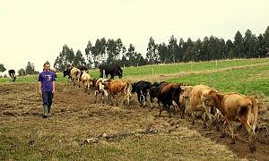 sc rural curso 20160722 1094735519