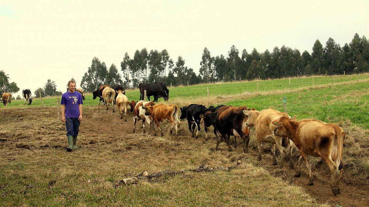 sc rural curso 20160722 1094735519