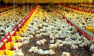 49242873363 9e223d77f8 o