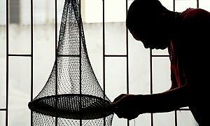 curso de capacitacao para auxiliar de maricultura 20191016 1209622293