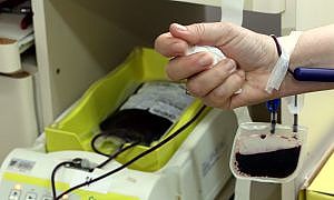 vice governadora participa de doacao de sangue coletiva do corpo de bombeiros militar 20190109 1564817447