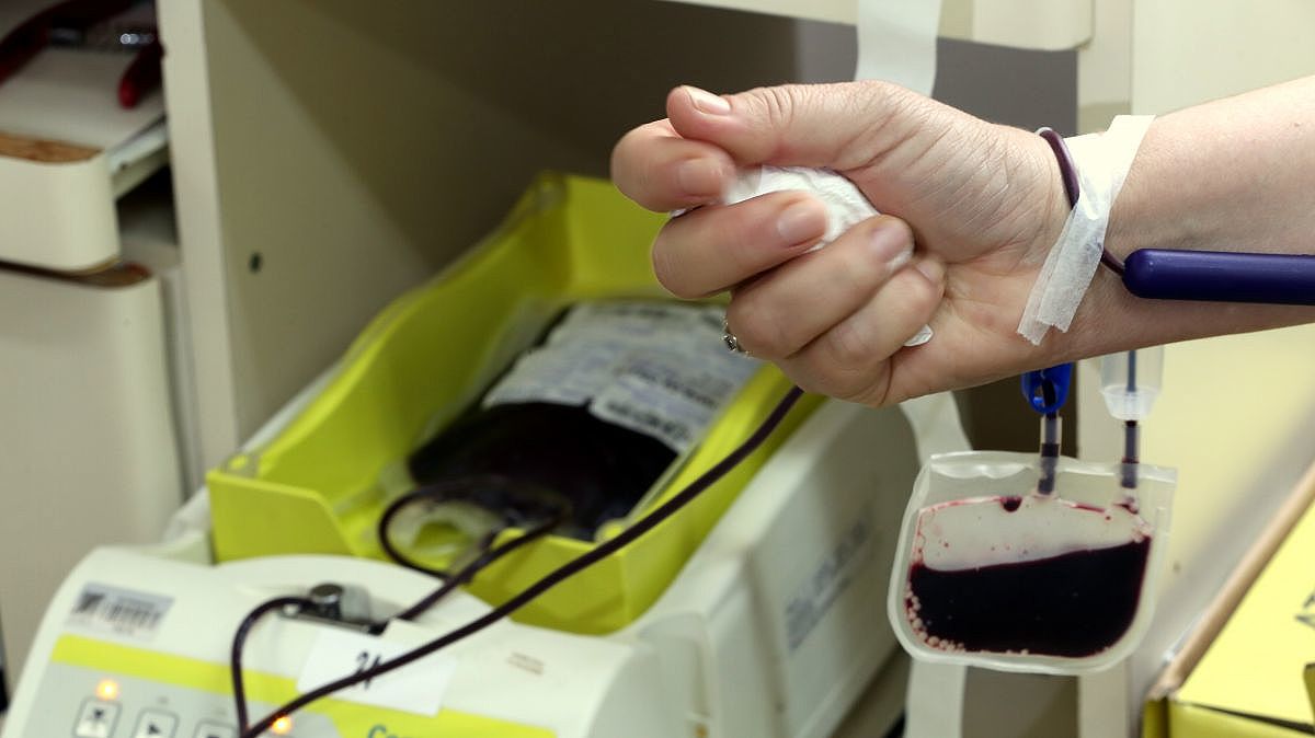 vice governadora participa de doacao de sangue coletiva do corpo de bombeiros militar 20190109 1564817447