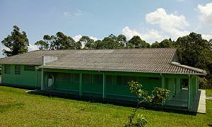 Núcleo de Bem Estar Animal 1