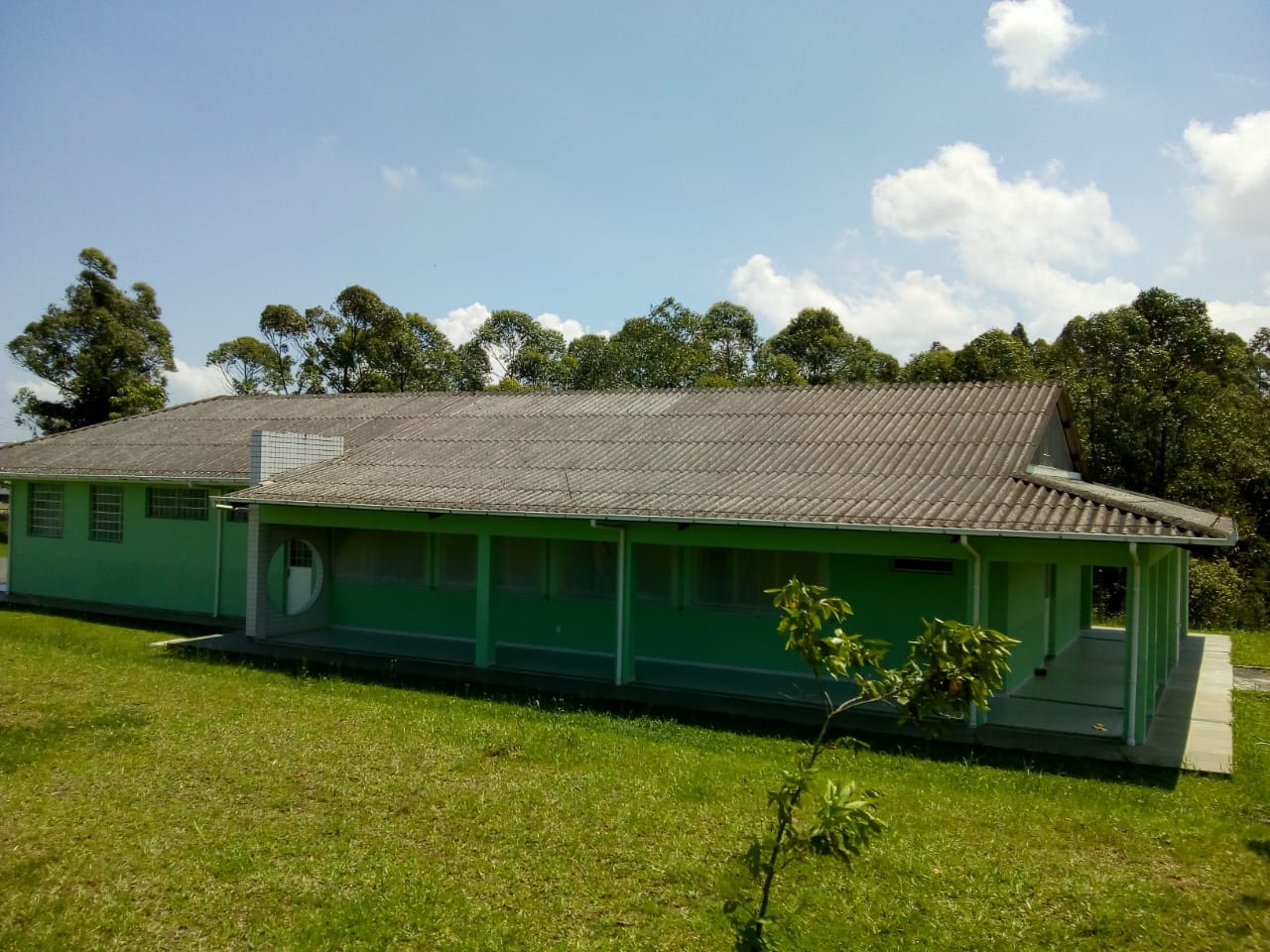 Núcleo de Bem Estar Animal 1