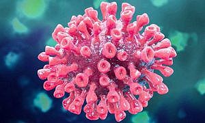 novo coronavirus 20200226 1793785362