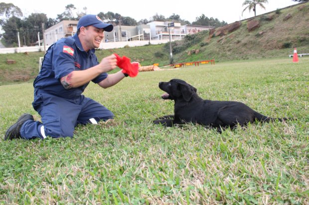 sasuke completa nova geracao de filhotes do cbmsc 20200203 1928907494