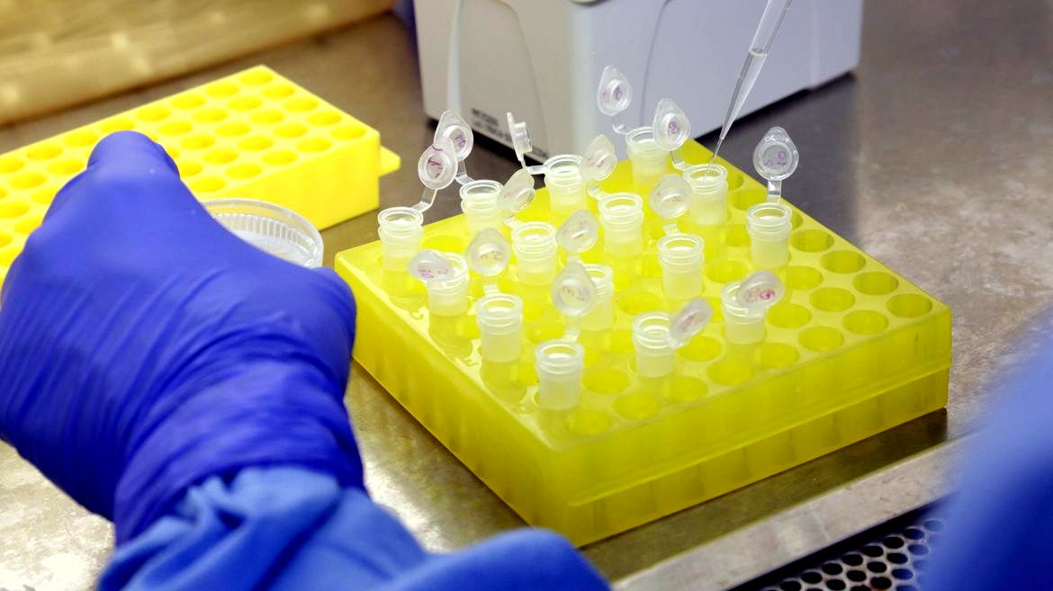 Coronavírus Josué Damacena