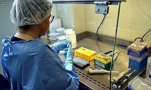 Coronavírus Covid 19