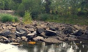 Estiagem em Santa Catarina Rio Cedro 4 1