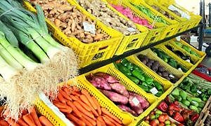 Alimentação Imunidade Frutas Verduras