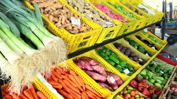 Alimentação Imunidade Frutas Verduras