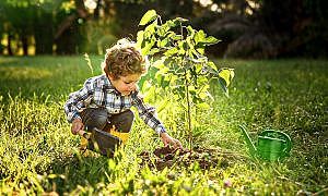 Fundo Social Divulgação
