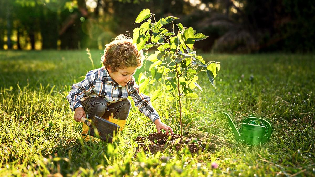 Fundo Social Divulgação