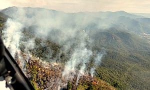 incendio e resgate morro do cambirela 20200428 2012480559