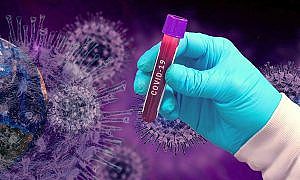 Coronavírus Covid 4