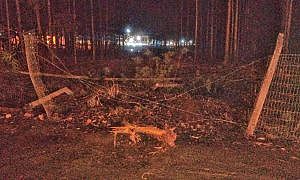 IMG 20200627 WA0173 01