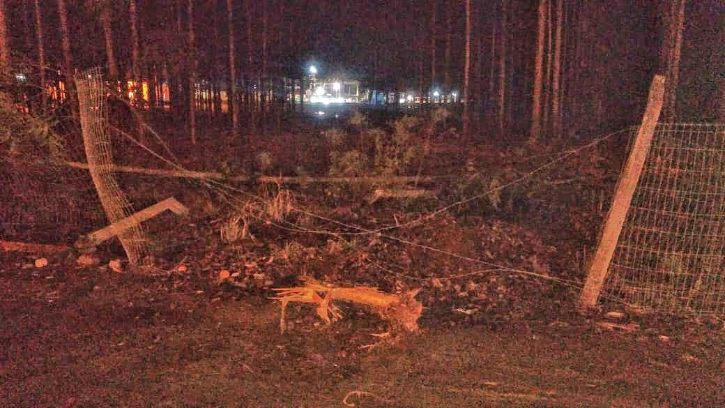 IMG 20200627 WA0173 01