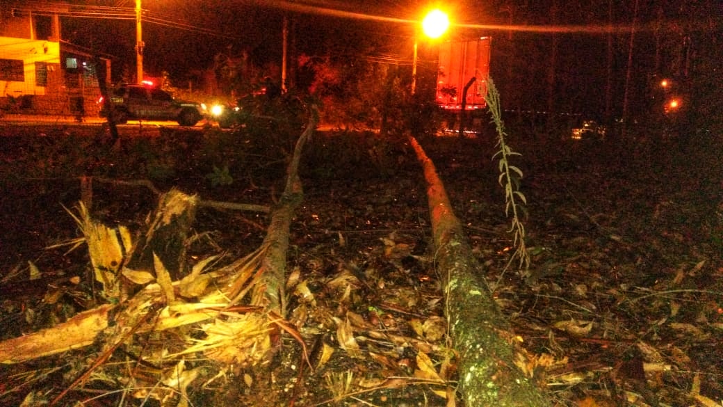 IMG 20200627 WA0175 01