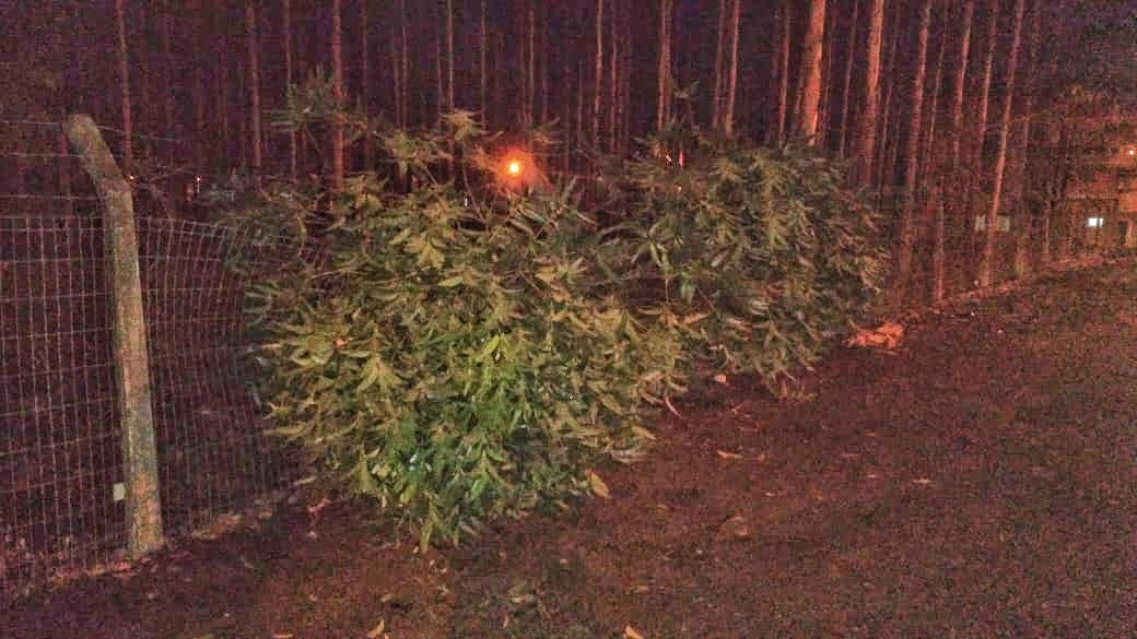 IMG 20200627 WA0179 01