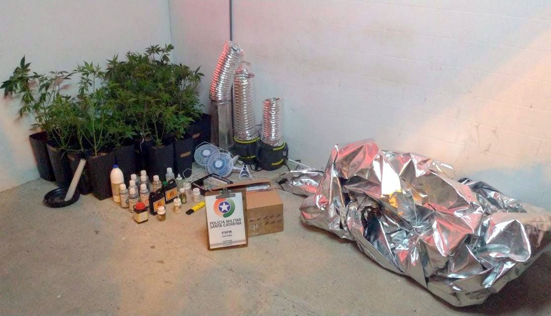 Estufa com cultivo de maconha é encontrada pela PM no bairro Verdinho 9 WhatsApp Image 2020 06 04 at 06.25.29 1