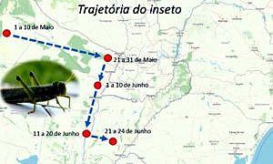 governo do estado monitora nuvem de gafanhotos na argentina 20200624 2088180706