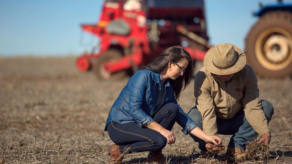 Plano Safra 2020 2021 Divulgação