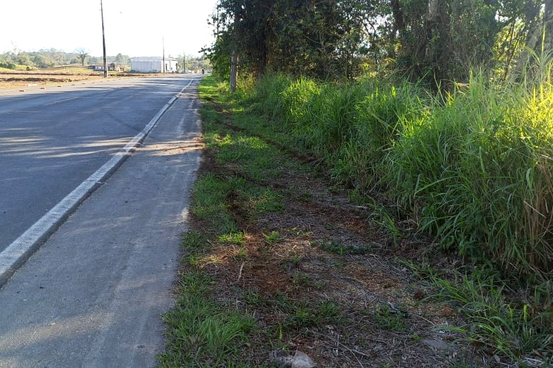 WhatsApp Image 2020 07 31 at 17.03.33