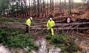 atuacao da pmrv em sc 418 20200701 1798861893